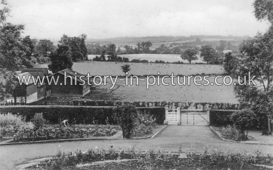 A view from the Convalescent Home, Nazeing, Essex. c.1950's